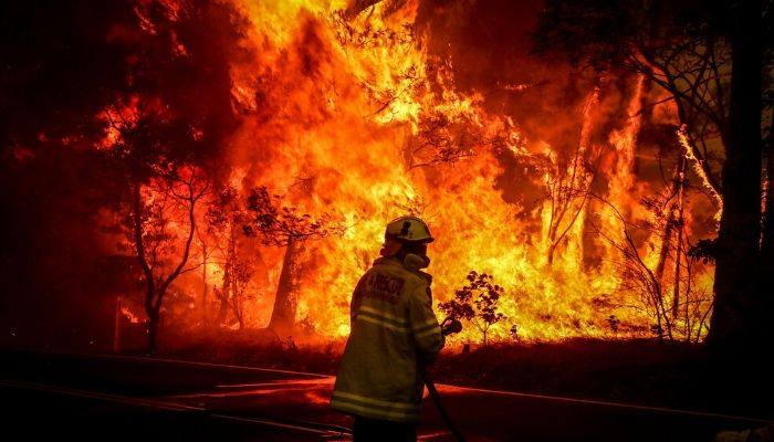 Australia will take 100 years to recover from bush fires