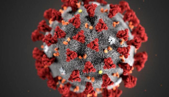 Wuhan #coronavirus likely to soon be declared a pandemic, scientists warn. #ScienceAlert