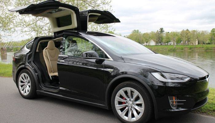#Tesla մեքենաներում հայտնաբերվել են վտանգավոր խոտաններ