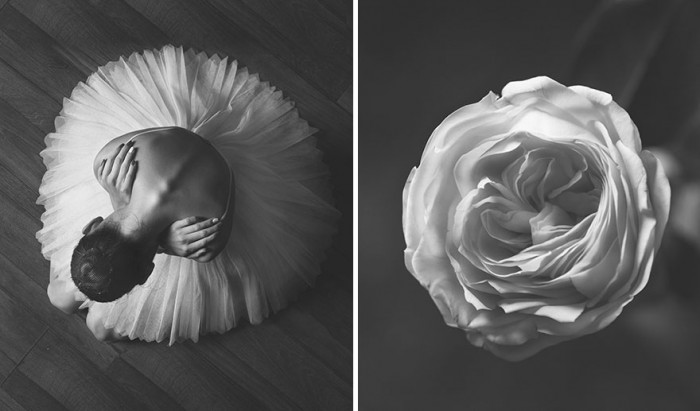 «Ծաղիկներն ու բալերինուհիները». Յուլիա Արտեմևա