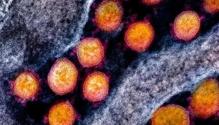#Coronavirus: there are 2 types