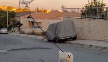 Drone walks dog for man on coronavirus lockdown in Cyprus