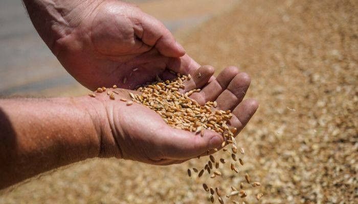 #Bloomberg сообщил о дефиците российской пшеницы в мире