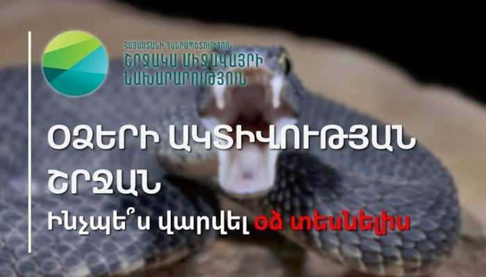 Օձերն ակտիվանում են. ինչ անել թունավոր օձի կծոցի դեպքում