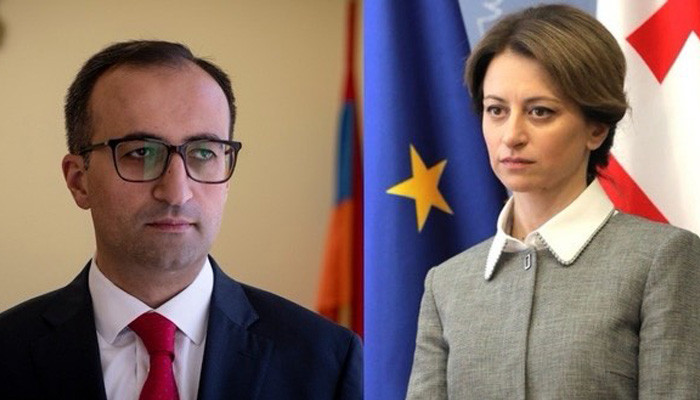 Министры здравоохранения Армении и Грузии обсудили возможности взаимопомощи