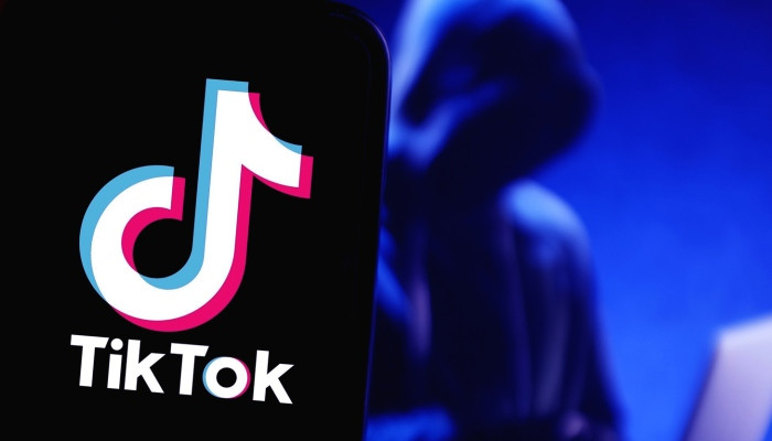 «Это по сути вирус»: TikTok обвинили в масштабной слежке