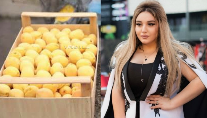 "Заберите частичку нашего добра": Гоар Аветисян рассказала об акции с абрикосами в Москве