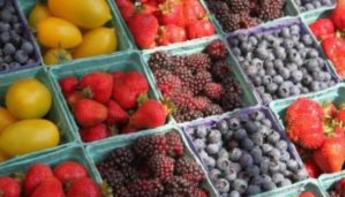 Врач предупредила, что фрукты и ягоды могут стать причиной ожирения
