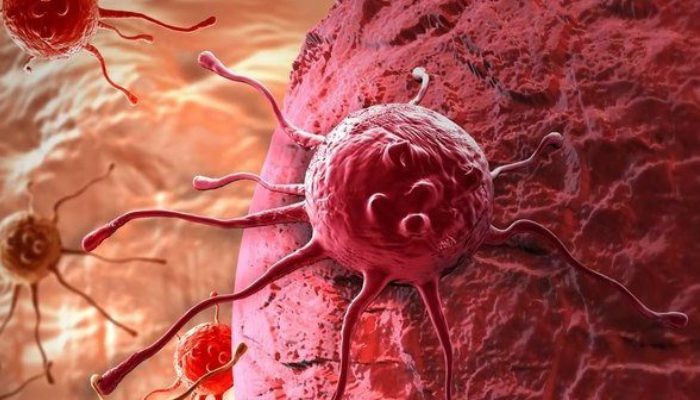 New nano drug candidate kills aggressive breast cancer cells