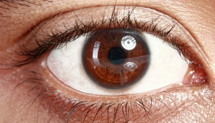 First in-human trial of synthetic cornea starts in Israel