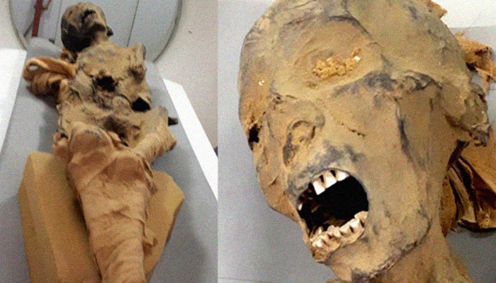 CT scan reveals the story behind the 'mummy of the screaming woman' from Deir El-Bahari’s Royal Cachette