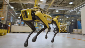 Пушистик и Пятнышко: #Ford завел на заводе собак-роботов