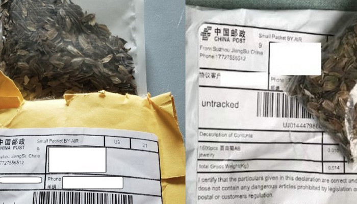 Посылки с загадочными семенами из Китая получили жители Японии, США, Канады