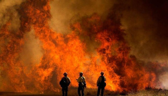 Калифорния в огне: в США возник крупный пожар