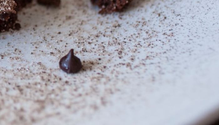 Malfunction at Swiss chocolate factory sends out plume of cocoa 'snow'