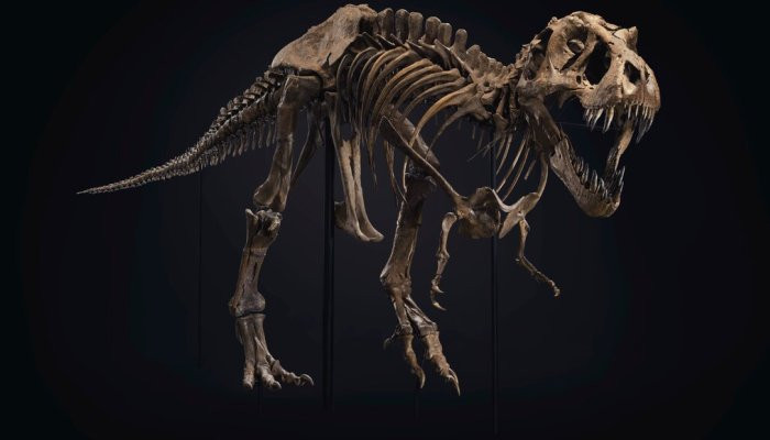 A T. Rex Skeleton Arrives in Rockefeller Center Ahead of Auction