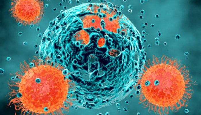 Ученые выяснили: коронавирус невероятно устойчив