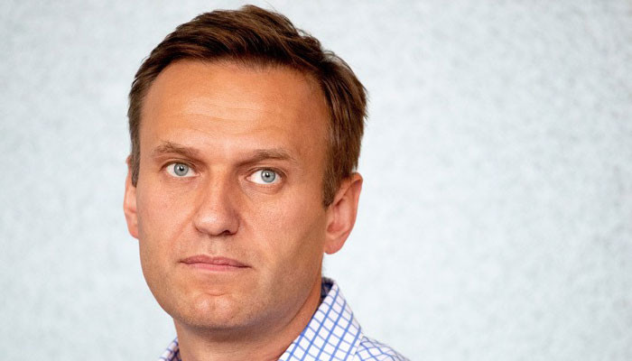 Немецкие юристы: Германия не может расследовать инцидент с Навальным