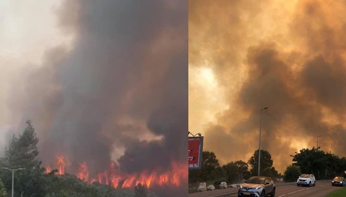 В Турции и в Израиле пожарные расчеты борются с лесными пожарами