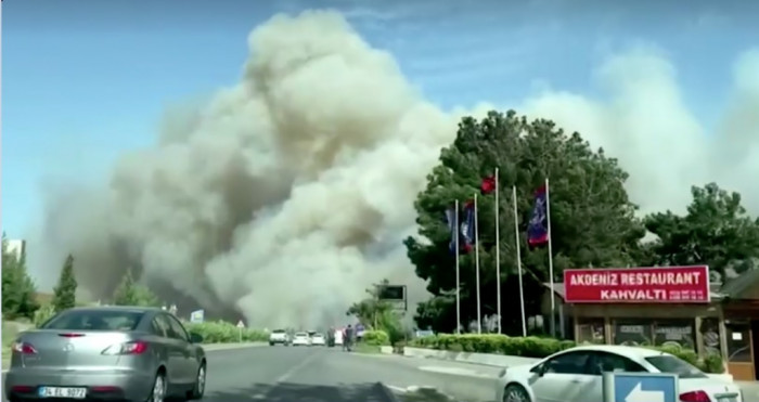 В Турции и в Израиле пожарные расчеты борются с лесными пожарами