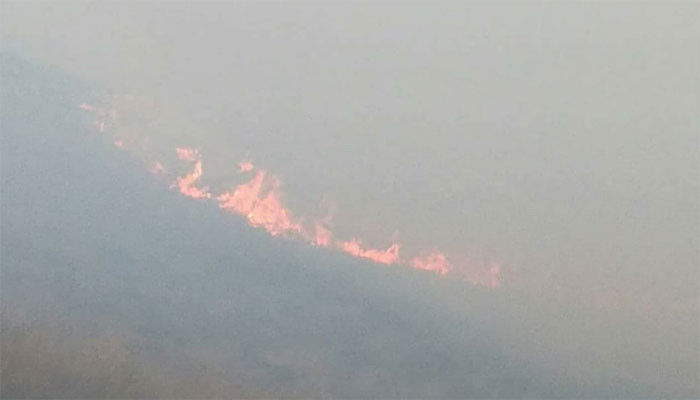Deliberate Burning of At Least 1815 ha Forests in Artsakh by Azerbaijan is a War Crime. Human Rights Ombudsman