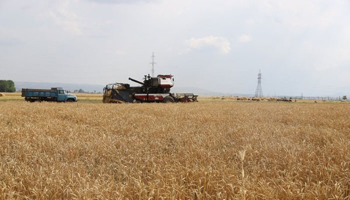 Արցախի գյուղնախը աշնանացան ցորենի անհատույց սերմացու և դիզվառելիք կտարամադրի հողօգտագործողներին