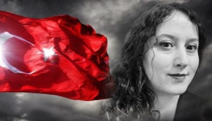 Ալիևի և Էրդողանի նպատակը տարածաշրջանը հայ բնակչությունից էթնիկական զտումն է. թուրք լրագրողի հոդվածը