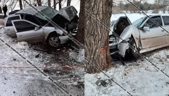 Գեղարքունիքում վարորդը Opel-ով բախվել է ծառին. ուղևորը տեղում մահացել է