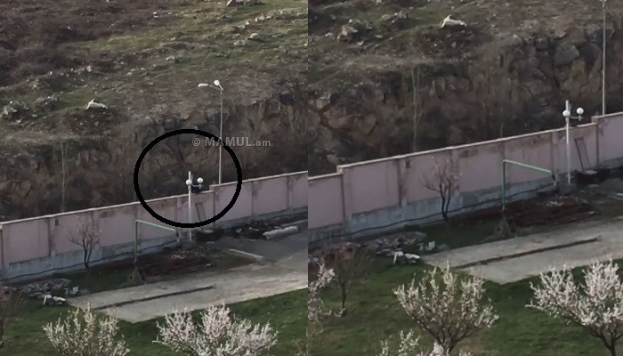 Лидер движения «Освобождение» опубликовал видео того, как сотрудники МО убегают через забор