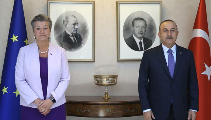 Карен Ованнисян: Эрдоган хочет стать новым Ататюрком Турции