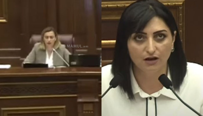 Լենա Նազարյանը «իդիոտկա» անվանեց Թագուհի Թովմասյանին