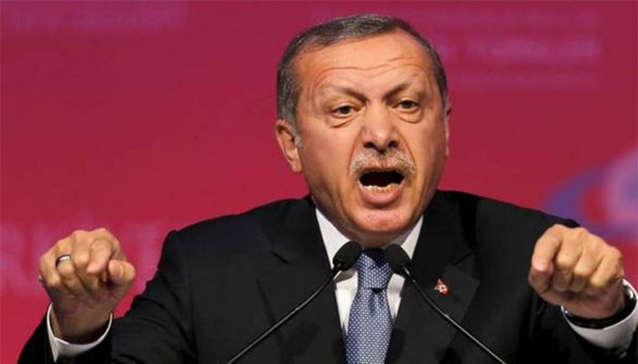 Эрдоган заявил о задержании подозреваемого в поджогах лесов в Турции