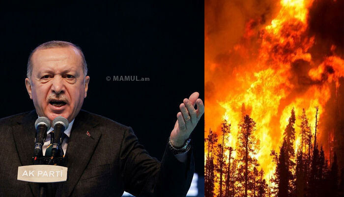 Эрдоган։ «Лесные пожары — это международная угроза»