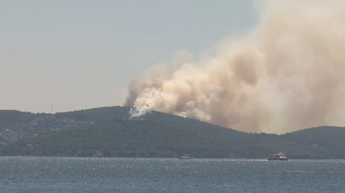 На острове Хейбелиада близ Стамбула тушат лесной пожар