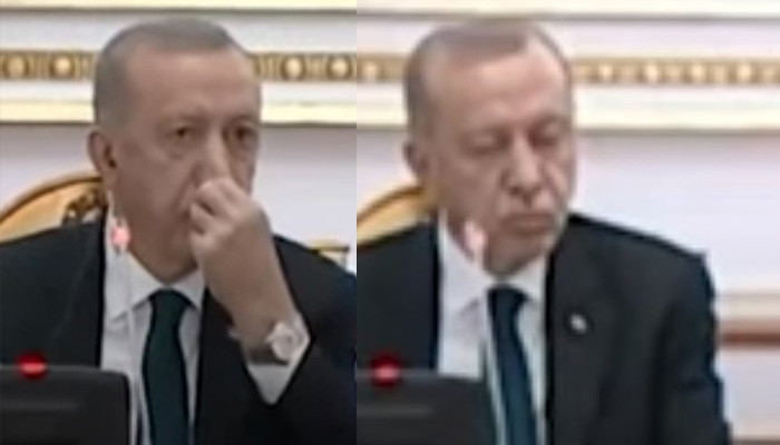 Эрдоган заснул на совместной пресс-конференции с президентом Анголы