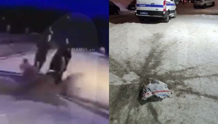 Момент падения тяжёлого мешка в сантиметре от коляски с ребёнком в Петербурге попал на видео