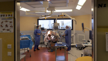 US doctors transplant full, live pig heart into human patient