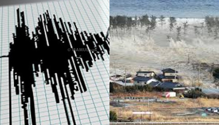 Strong quake jolts northeast Japan, tsunami warning issued