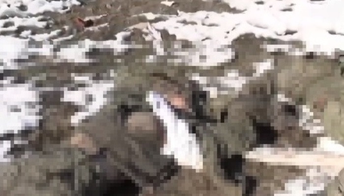 18+. ռուս զինվորների սառած դիերը՝ ուկրաինական դաշտերում