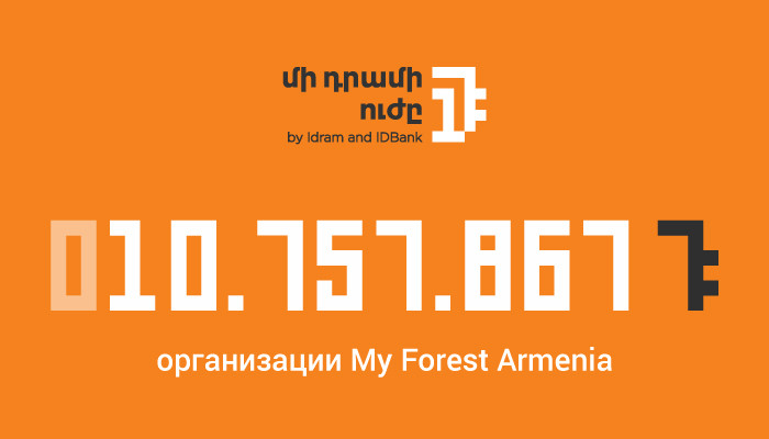 10.757.867 драмов РА экологической организации «My Forest Armenia»: следующий бенефициар «Силы одного драма» - благотворительный фонд «Дети Армении»