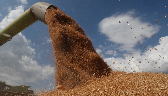 Киев: Россия вывозит украденную украинскую пшеницу в Сирию