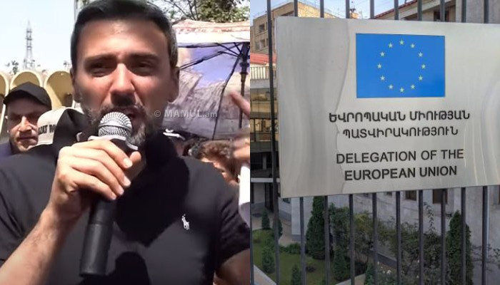 Арам Вардеванян: Представительство ЕС своим молчанием поощряет зверства полиции