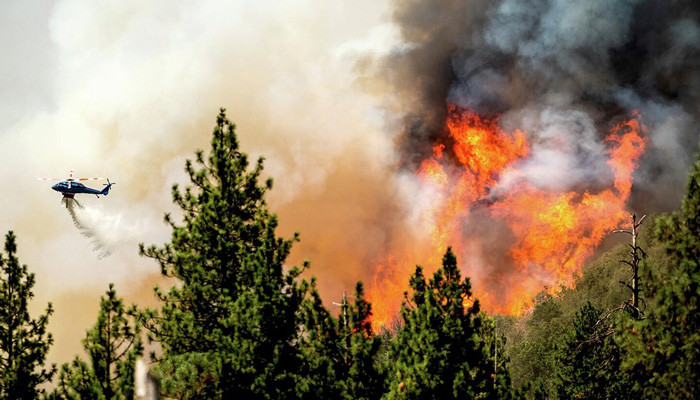 Ղազախստանում անտառային հրդեհների հետևանքով 100 տուն է այրվել