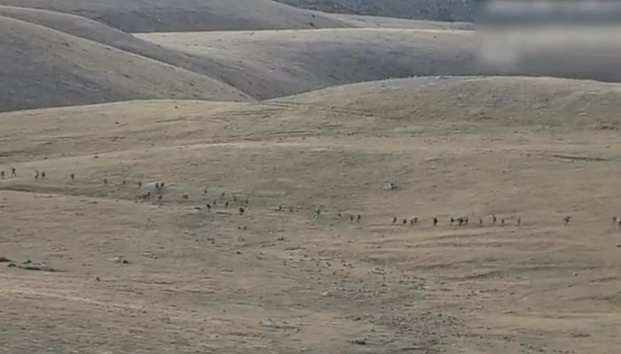 Подразделения азербайджанских вооруженных сил попытались позиционно продвинуться сразу по нескольким направлениям армяно-азербайджанской границы