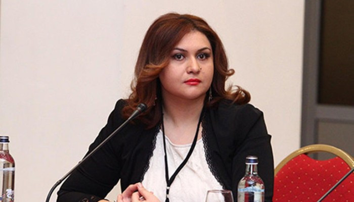 Анжела Элибегова: Aербайджанские группировки, проникшие в страну, нашли?