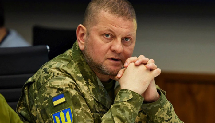 9 ноября Украина освободила 12 населенных пунктов возле Херсона - Залужный