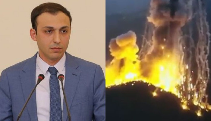 Artsakh Ombudsman: The expert conclusion summed up the whole picture, which has been voiced for two years