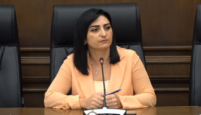 ''To take effective steps in order to open the only road connecting Artsakh to Armenia and the whole world''. Taguhi Tovmasyan