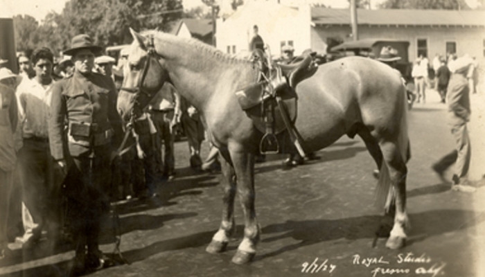 Բացառիկ լուսանկար. զորավարի ձին՝ Անդրանիկի թաղման թափորում