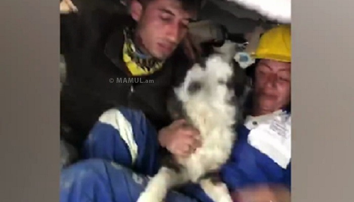 Թուրքիայում շանն անվնաս դուրս են բերել փլատակներից երկրաշարժից 22 օր անց